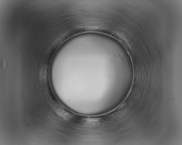 X0000073710495200608241447