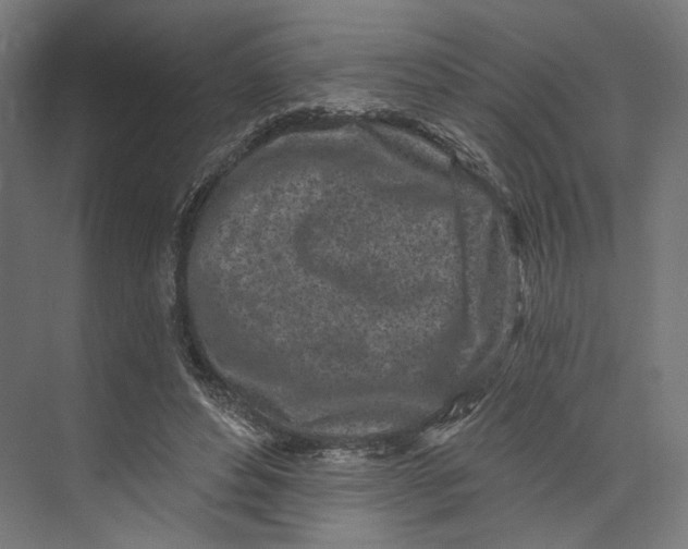 X0000073710496200608241447