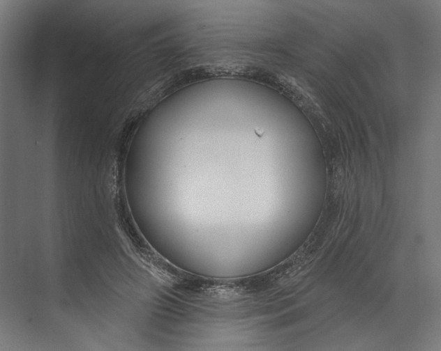 X0000073710498200608241447