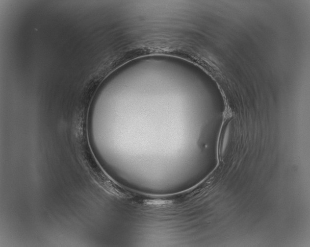 X0000073710499200608241447