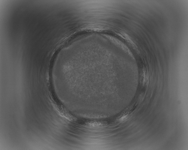 X0000073710500200608241447