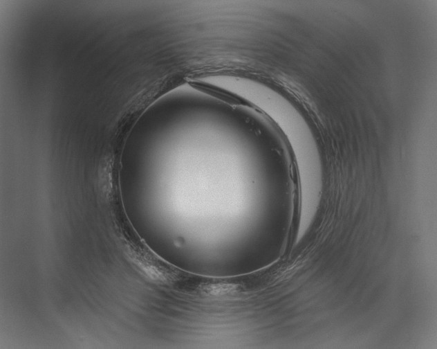 X0000073710501200608241446