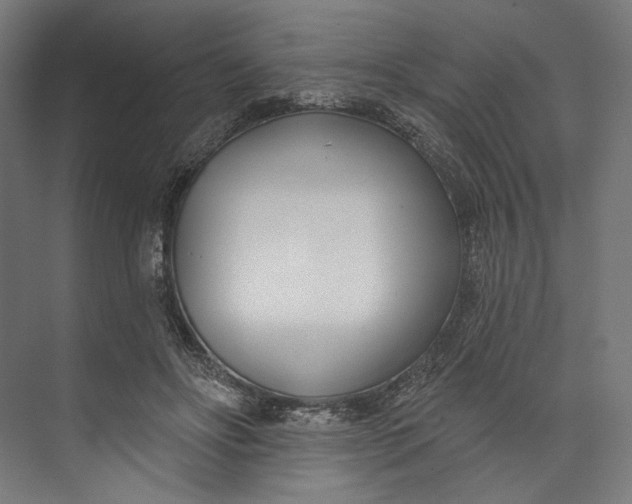 X0000073710502200608241446