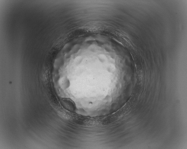 X0000073710503200608241446