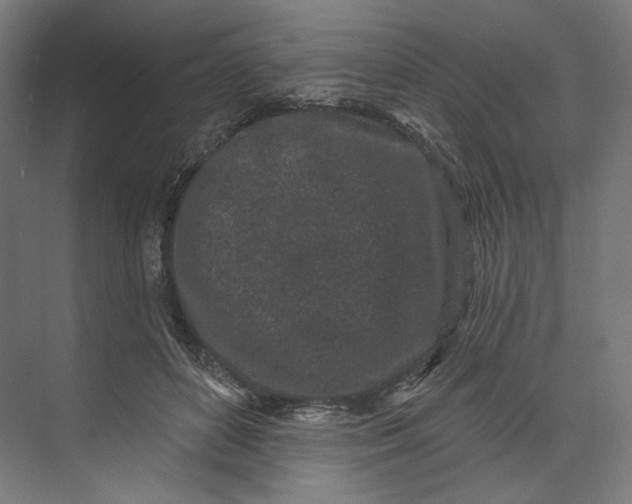 X0000073710504200608241446