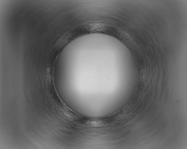 X0000073710506200608241446