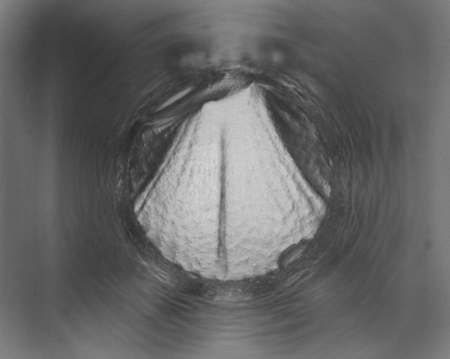 X0000073710507200608241446