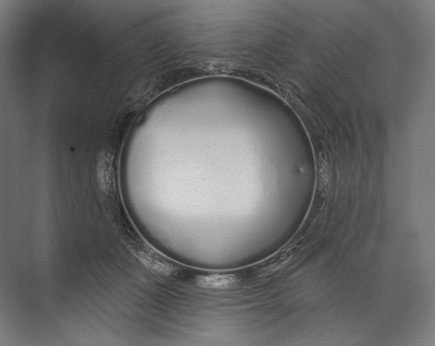 X0000073710511200608241446