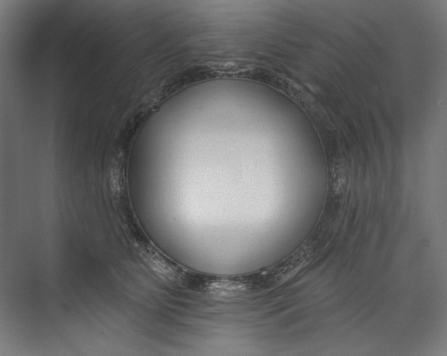 X0000073710515200608241446