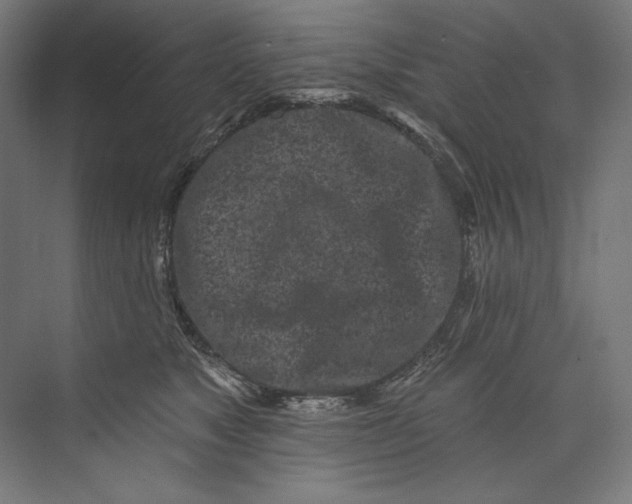 X0000073710517200608241446