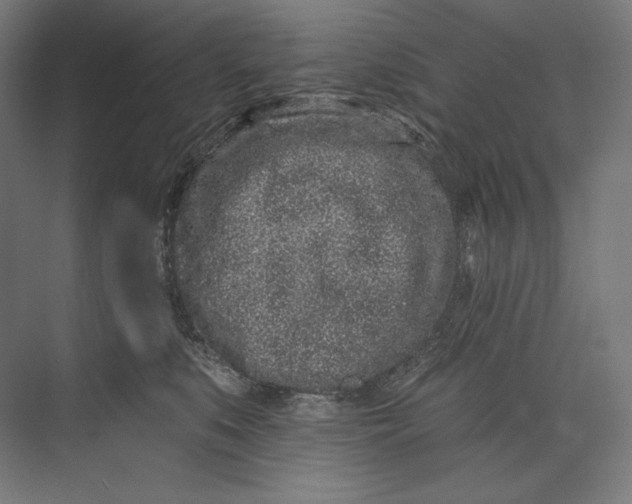 X0000073710519200608241446