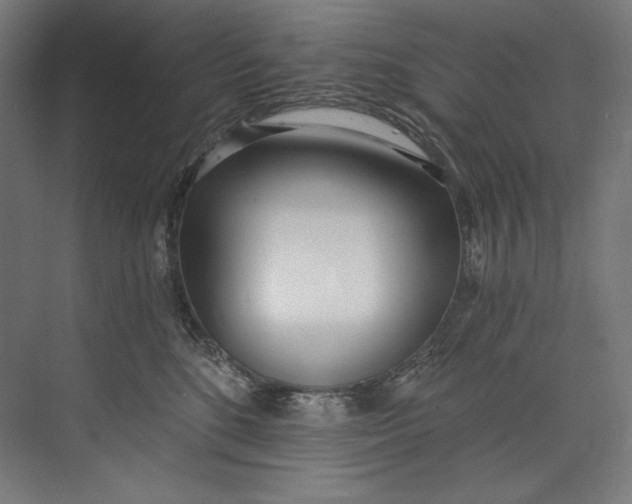 X0000073710520200608241446