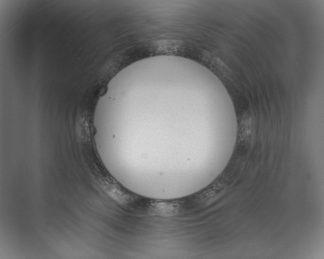 X0000073710522200608241446