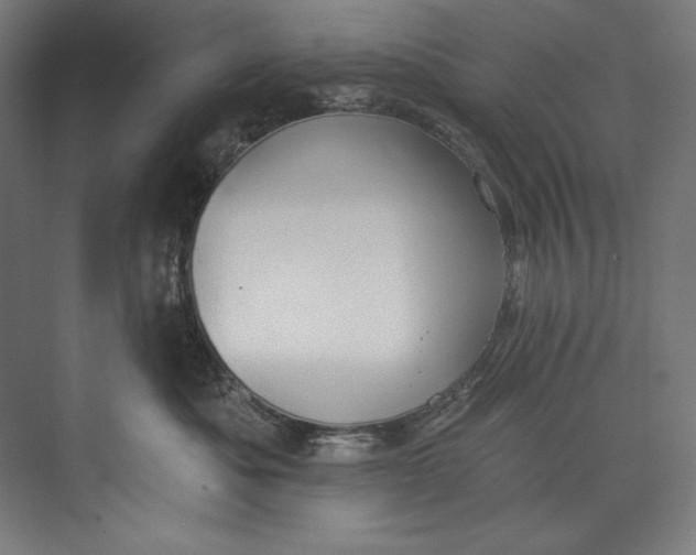 X0000073710525200608241446