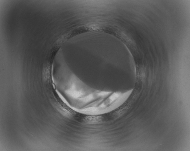 X0000073710526200608241446