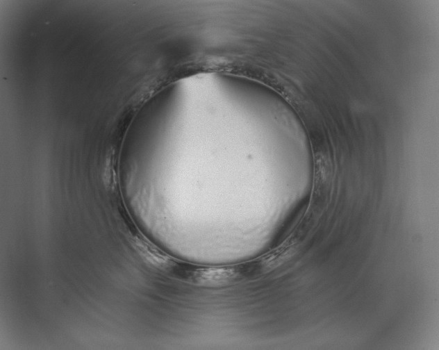 X0000073710527200608241446