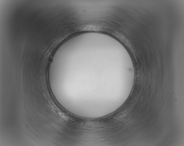 X0000073710529200608241445