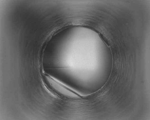 X0000073710530200608241445