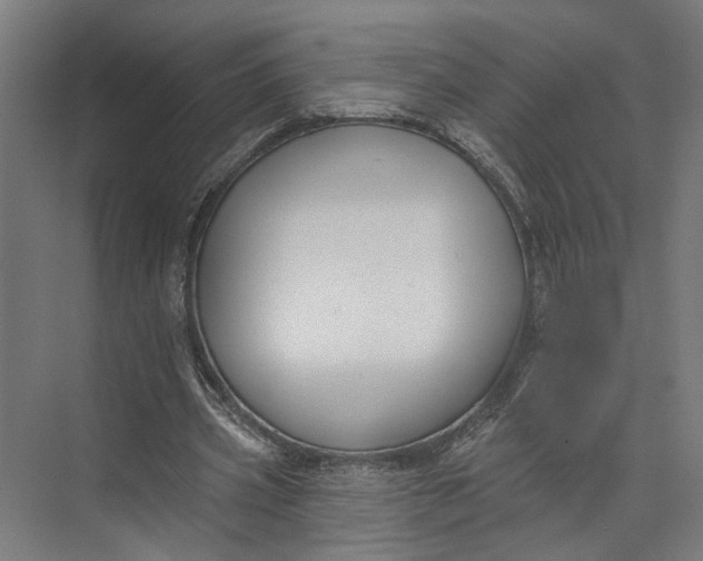 X0000073710533200608241445