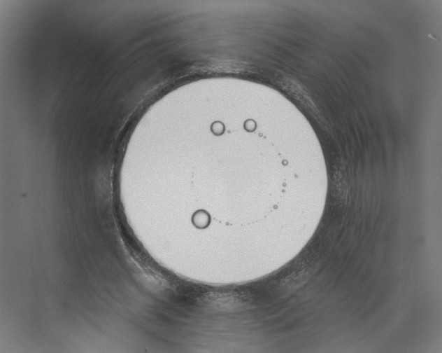 X0000073710534200608241445