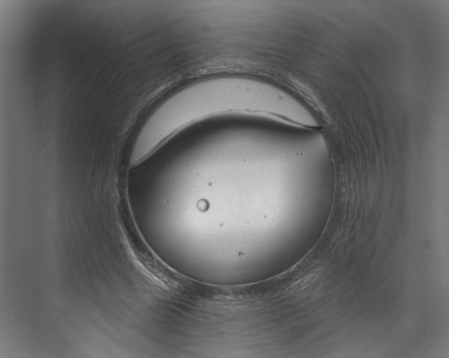 X0000073710538200608241445