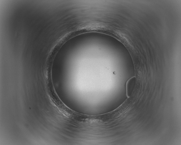 X0000073710539200608241445