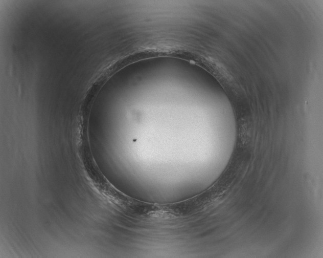 X0000073710544200608241445