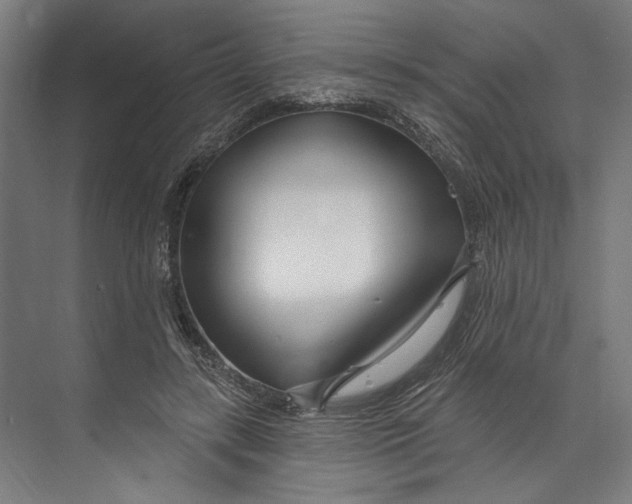 X0000073710547200608241446