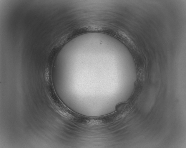 X0000073710549200608241446