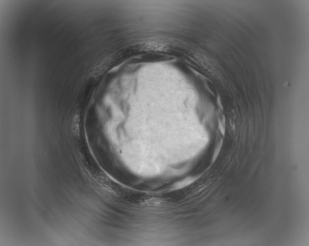 X0000073710551200608241446