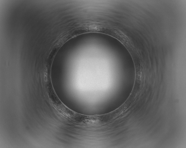 X0000073710552200608241446