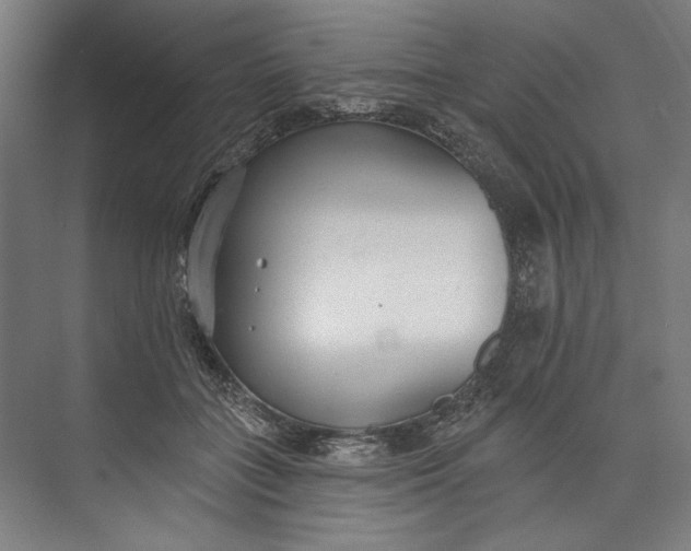 X0000073710555200608241446