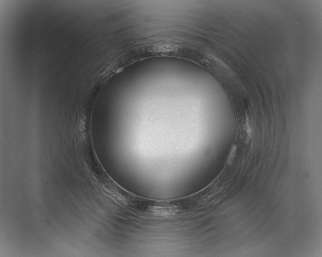 X0000073710556200608241446