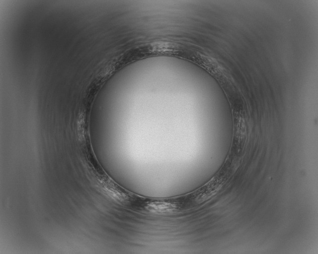 X0000073710557200608241446