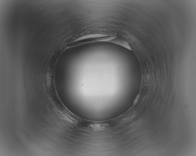 X0000073710558200608241446