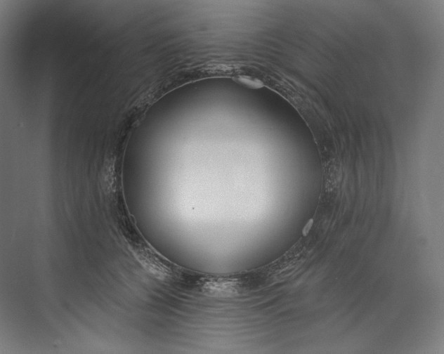 X0000073710560200608241446