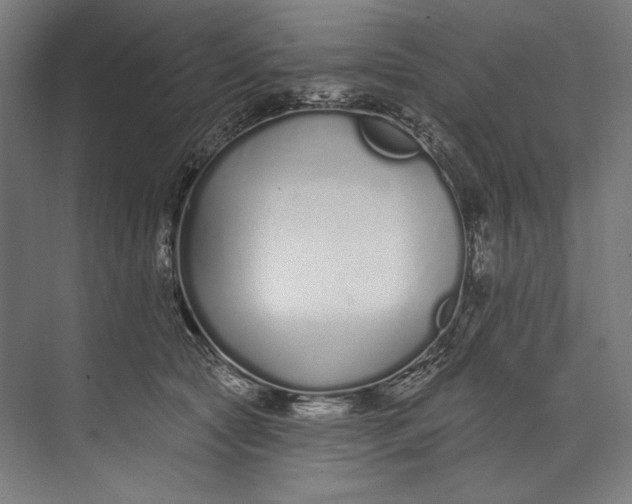 X0000073710561200608241446