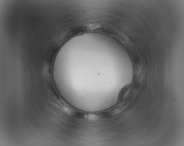 X0000073710565200608241446