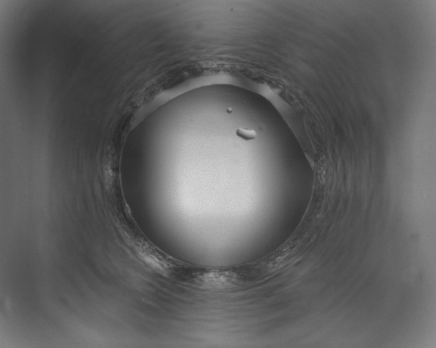 X0000073710566200608241446