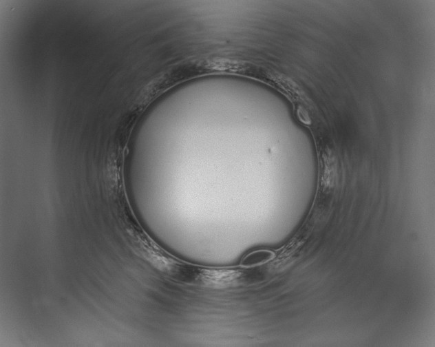 X0000073710569200608241446