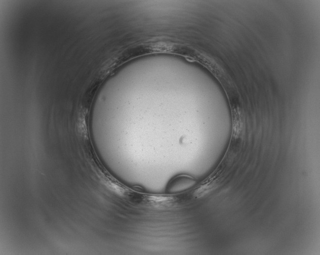 X0000073710573200608241446