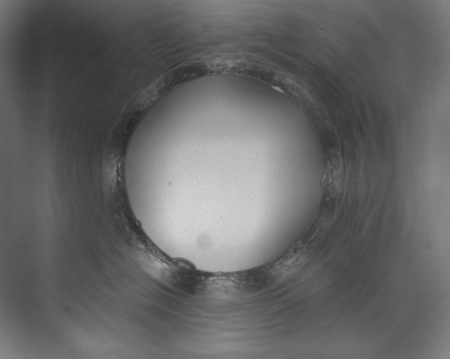 X0000073710574200608241446