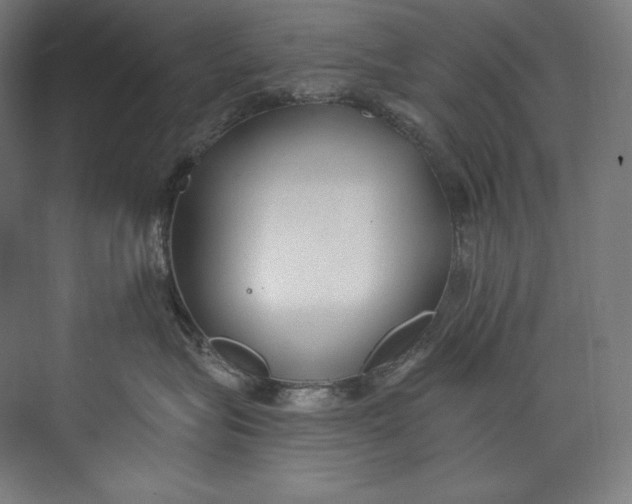 X0000073710575200608241446