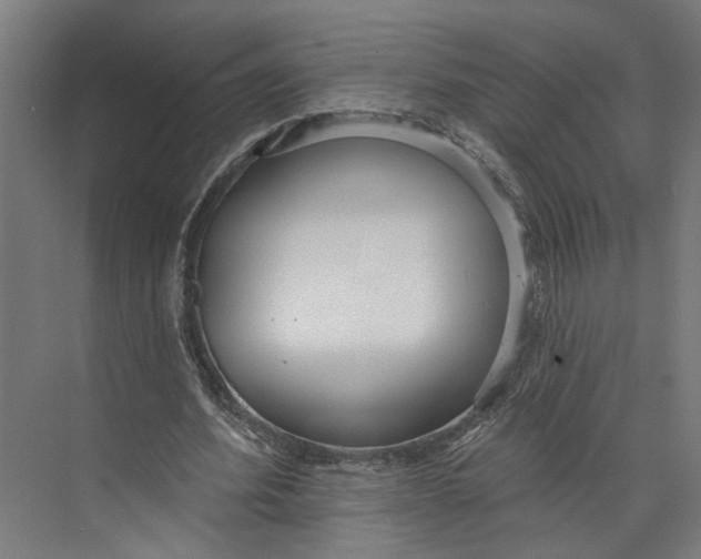 X0000073710580200608241445