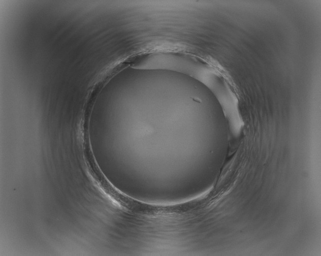 X0000073710581200608241445