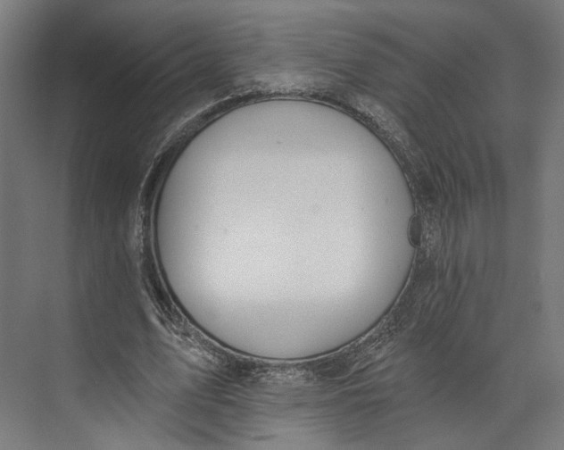 X0000073710583200608241445