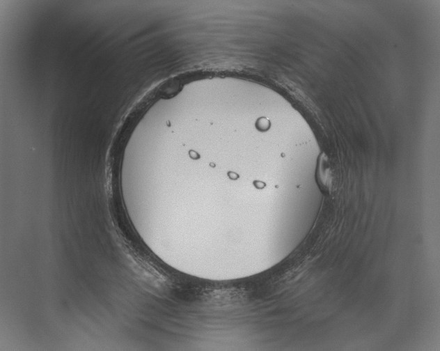 X0000073710584200608241445