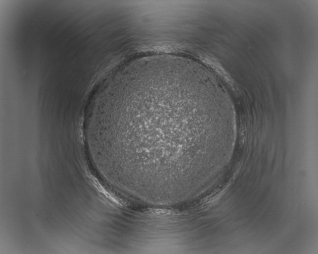 X0000073710585200608241445