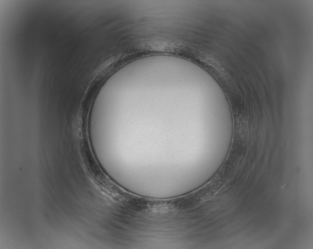 X0000073710587200608241445