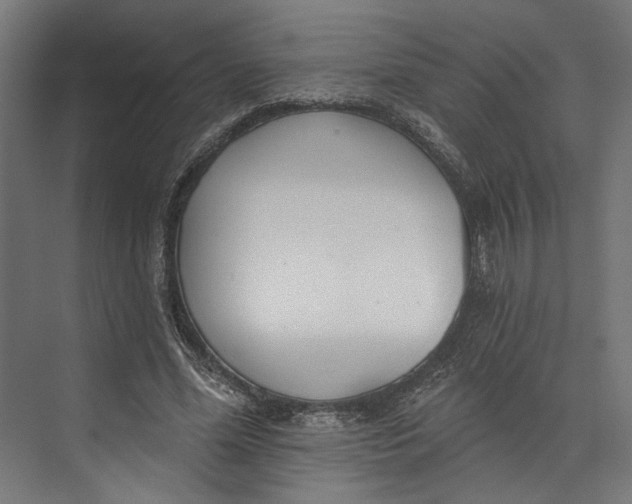 X0000073710588200608241445